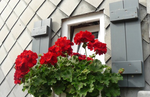 Growendern House | cozy cottage with garden in the Fichtelgebirge.