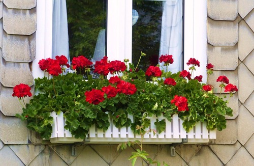 Growendern House | cozy cottage with garden in the Fichtelgebirge.