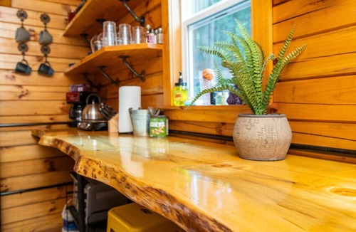 Rogers Cabin | Cozy Creek- Firepit, Hiking, Creekside, Private