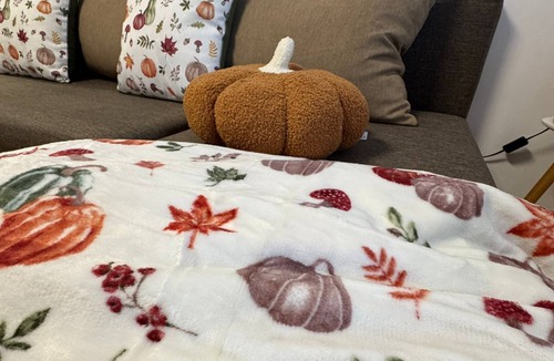 Predeal Apartment | Cozy Eagle Apartment – Feel Like Home