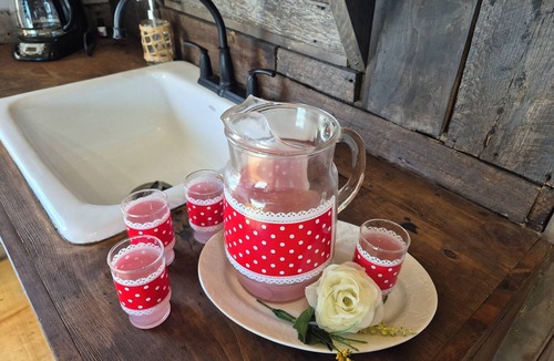 Protem Cabin | Cozy Farm Cabin, Rustic Charm/Luxury/couples Romantic getaway/Hot Tub