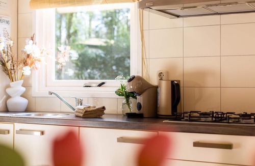 Hattemerbroek Ski Chalet | Cozy forest chalet with sunny garden & terrace