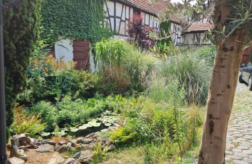 Lich House | Cozy half-timbered house in beautiful courtyard