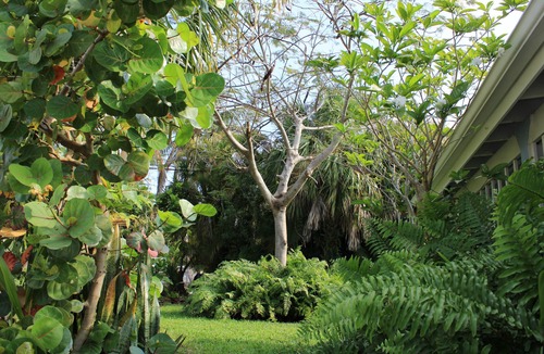 Jensen Beach House | Cozy Jensen Beach bungalow 3 miles to the beach and 1.5 miles to downtown