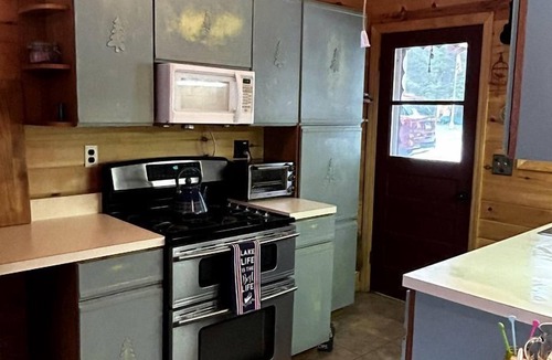 Wells Cabin | Cozy Lakefront Cabin Perfect for a Family Getaway in Wells, NY