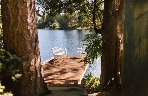Maple Valley Cabin | Cozy lakeside cabin! Rustic retreat w/private dock- Pet Friendly!