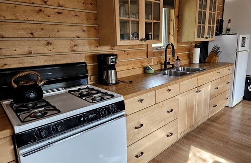 McCarthy Cabin | Cozy Log Cabin Close to Wrangell St. Elias National Park and Preserve in McCarthy, Alaska