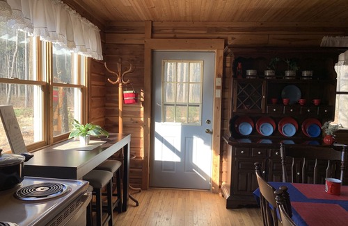 English Cabin | Cozy log cabin with modern amenities and a park view!