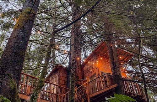 Riverbend Cottage | Cozy, modern treehouse w/WiFi & Smart Projector, outdoor shower & soak tub