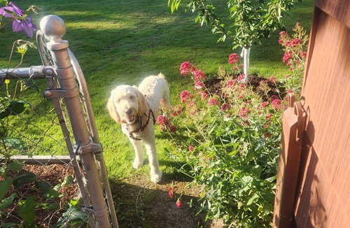 Mount Vernon Apartment | Cozy New Studio in charming Mount Vernon, Perfect for You and Your Pup