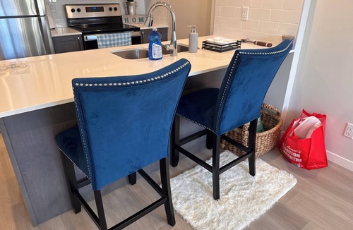 Southeast Calgary Apartment | Cozy Pet Friendly Apartment in SE Calgary - Near South Health Campus!