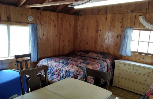 Bellvue Cabin | Cozy, Pet Friendly Cabin Deep in the Mountains for a Serene Getaway of Wilderness and Wildlife