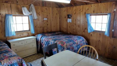 Bellvue House | Cozy, Pet Friendly Cabin Deep in the Mountains for a Serene Getaway of Wilderness and Wildlife