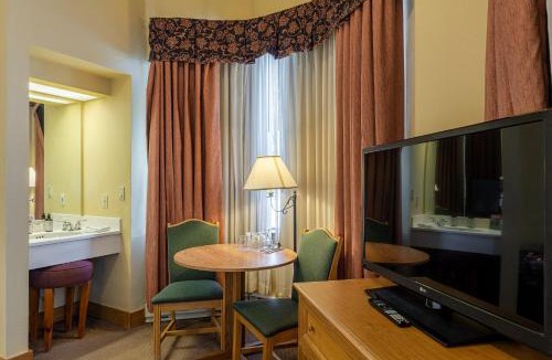 Mount Crested Butte Hotel | Cozy Pet-Friendly King Studio in Mt, Crested Butte condo