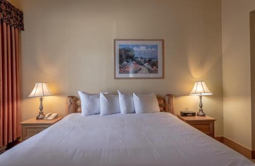 Mount Crested Butte Hotel | Cozy Pet-Friendly King Studio in Mt, Crested Butte condo