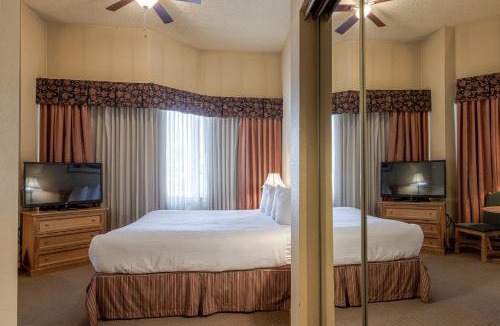Mount Crested Butte Hotel | Cozy Pet-Friendly King Studio in Mt, Crested Butte condo