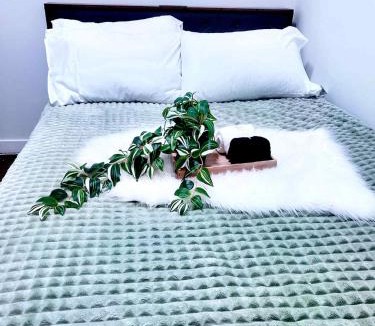 Highland Park House | Cozy Room 1 with Private Entrance