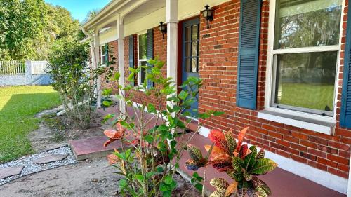 Temple Terrace House | Cozy Rooms near Busch Gardens
