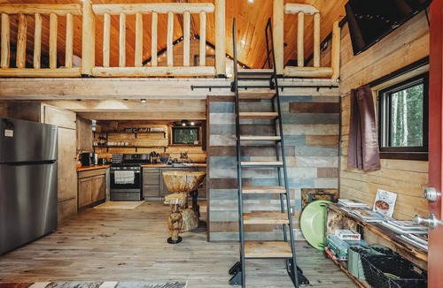 Badger Cabin | Cozy Rustic Cabin w/Running Water & Shared Sauna