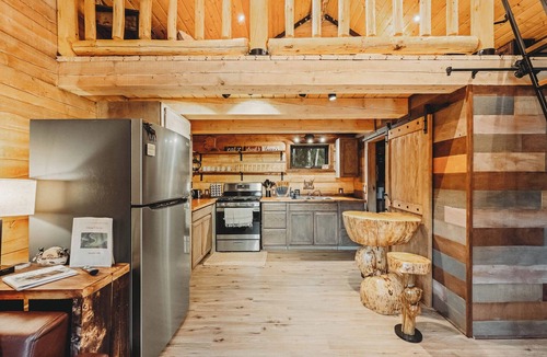 Badger Cabin | Cozy Rustic Cabin w/Running Water & Shared Sauna