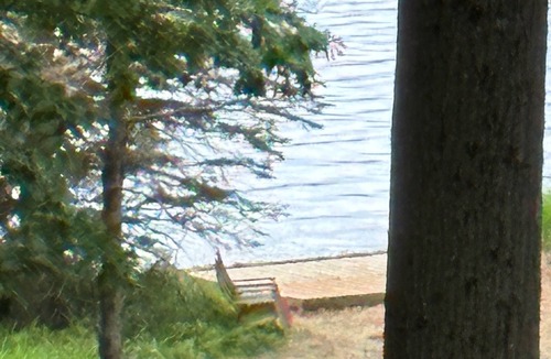 Free Soil Cottage | Cozy Rustic Lakefront Cottage on Upper Hamlin Lake, Ludington - Perfect Getaway