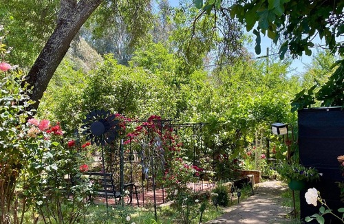 Ione Cottage | Cozy Rustic Rose Cottage. 3 private Beds.Close to Town,Nature and the Zen Life!
