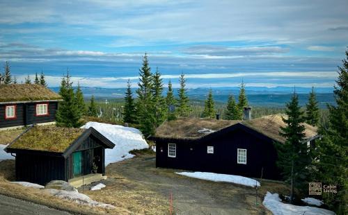 Ringsaker House | Cozy spacious cabin with sauna at Natrudstilen