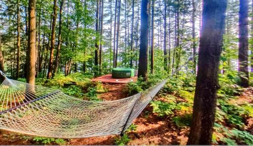 Brantingham House | Cozy Spacious Cottage on Private Island for an Unforgettable Family Adventure on Brantingham Lake, New York