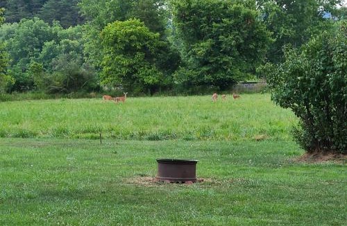 Springfield House | Cozy Springfield Family Home w/Fire Pit