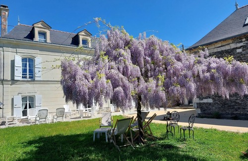 La Bohalle Bed & Breakfast | Cozy studio apartment