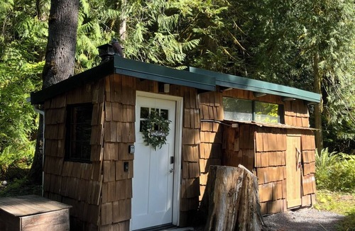 Ashford Cabin | Cozy studio cabin less than a mile to Mt. Rainier entrance.