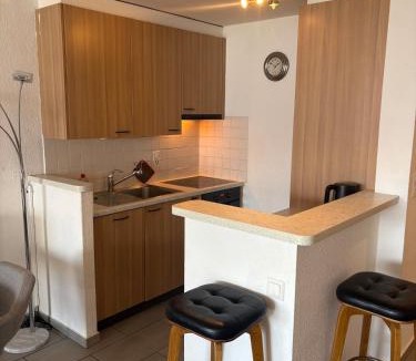 Veytaux Apartment | Cozy studio