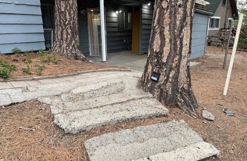 Running Springs Apartment | Cozy Studio retreat in San Bernardino Mountains. Pet-Friendly!
