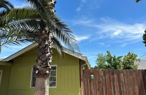 Arden-Arcade House | Cozy Suite B