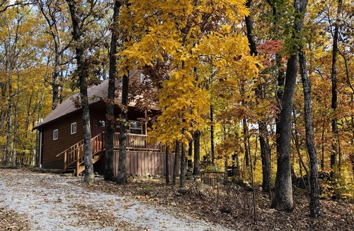 Winslow Cabin | Cozy tiny cabin nestled in a little woodland village - playground & pond access