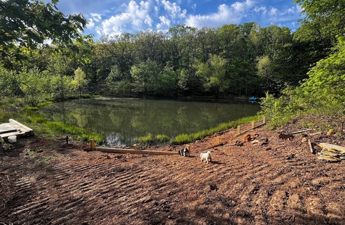 Winslow House | Cozy tiny cabin nestled in a little woodland village – playground, pond and more