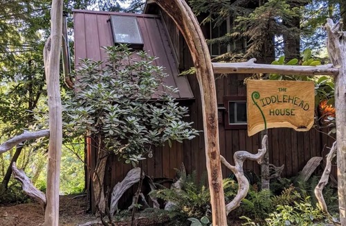Gold Bar Cabin | Cozy Tiny Cabin with RIVER VIEWS! Sleeps 3, hot tub, wood stove, fire pit!