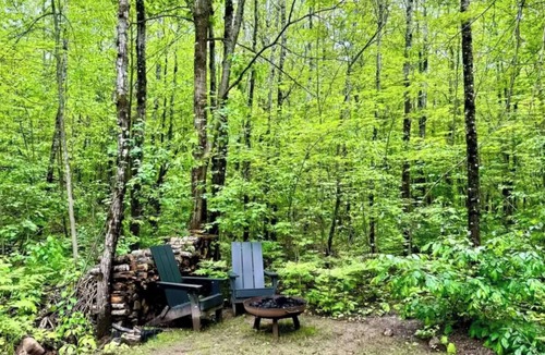 Cable Apartment | Cozy Trailside Nordic Chic Nature Cottage