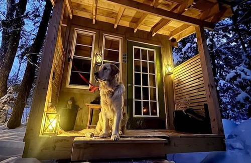Hardwick RV Rental | Cozy Treehouse with Sauna in Hardwick, VT