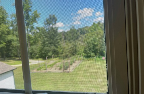 Manitou Beach-Devils Lake Apartment | Cozy, quiet 1-bedroom apartment in delightful Manitou Beach.