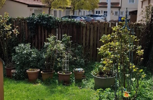 Bad Windsheim Apartment | Cozy vacation apartment with a beautiful terrace