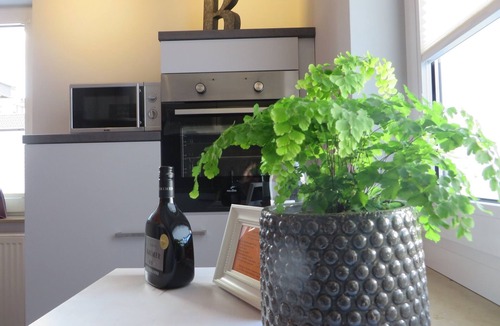 Grossheubach Apartment | Cozy vacation apartment (80 m2) with wooden terrace and sunbathing lawn