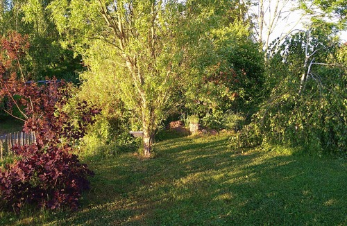 Thiergarten Apartment | Cozy vacation apartment in the Vogtland. Plenty of space and peace and quiet for the whole family!
