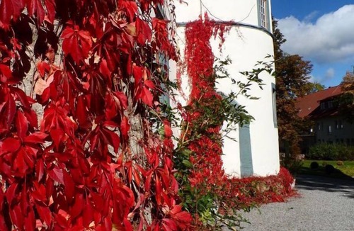 Roßdorf Apartment | Cozy vacation apartment (40 sqm) for up to two people with free WiFi