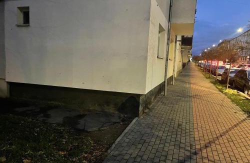 Dej Apartment | Crângului 36