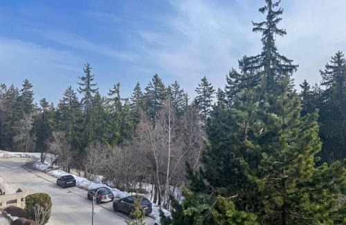 Chermignon Apartment | Crans Forest B