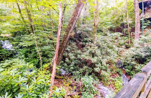 Smoky Mountains House | Creek Song