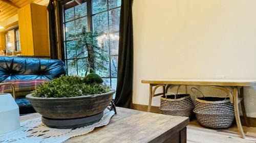 Shadow Mountain Ski Chalet | Creekside Cabin Red Rocks Concert Retreat