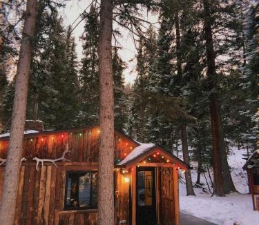 Shadow Mountain Ski Chalet | Creekside Cabin Red Rocks Concert Retreat