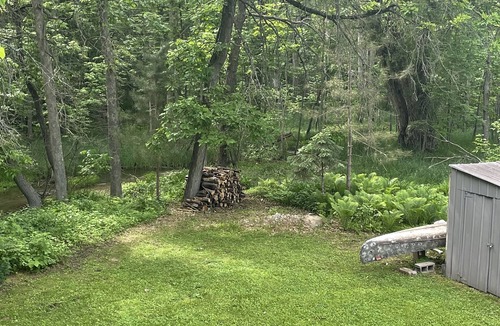 Walker House | Creekside Stay in Walker, MN